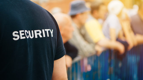 Member of security guard team on public event